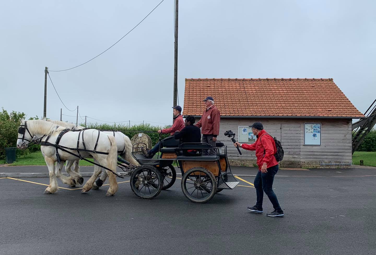 Conseil Des Chevaux Hauts De France Reportages Pour Les Boulonnais